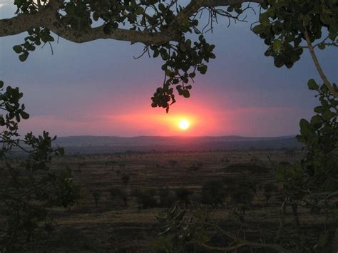 Kruger National Park Wallpapers - Wallpaper Cave