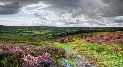 Holiday Cottage in the Beautiful North Yorkshire Moors | Wilson Cottages