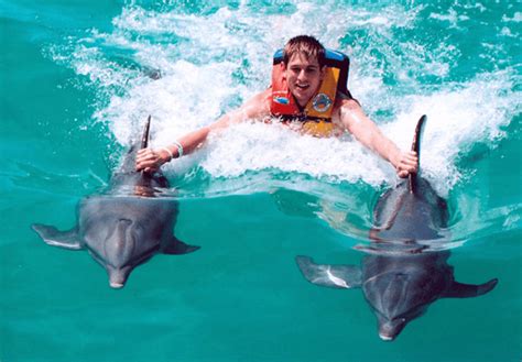 Go Swimming with Dolphins Cancun Mexico (800) 667-5524