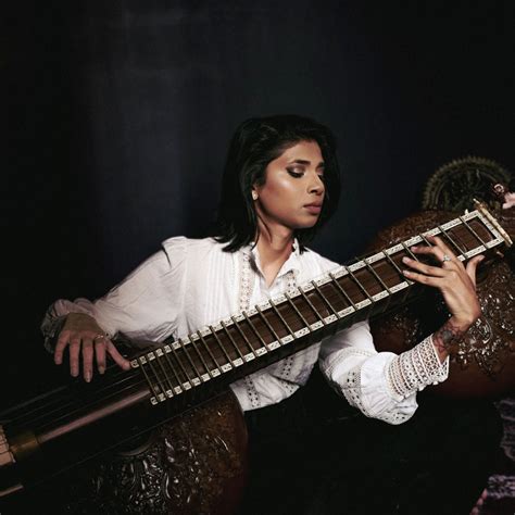 The Ancient Rudra Veena of India | World Music Central