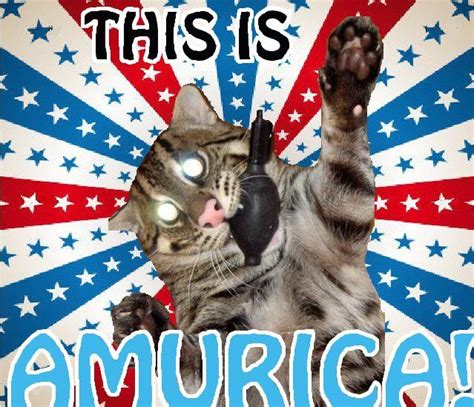 War Cat: Image Gallery (List View) | Know Your Meme