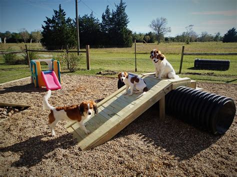 New puppy play yard - Waterbound Kooikerhondje