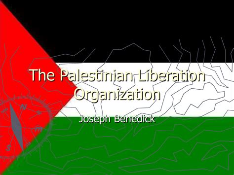 The Palestinian Liberation Organization