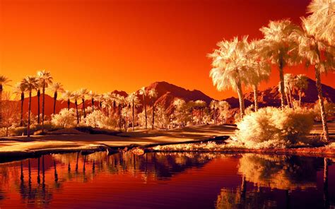 2560x1600 Background High Resolution: reflection | Infrared photography, Photography jobs ...