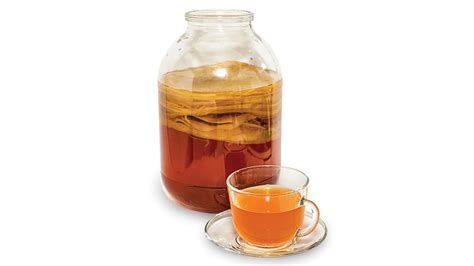 Kombucha Tea: Amazing Health Benefits of This Bizarre Beverage