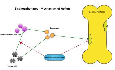 Effects of bisphosphonate treatment on recurrence and cause-specific mortality in women with ...