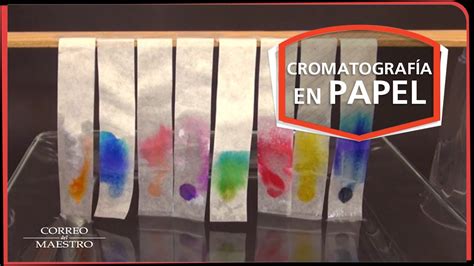 Cromatografía en papel - YouTube