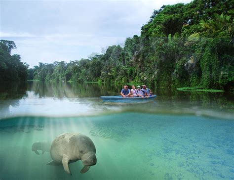 Tortuguero River Wildlife Canals Boat Trip – Cahuita National Park Wildlife Reserve – Banana ...