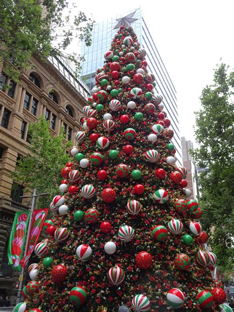 In praise of an Australian Christmas tree.