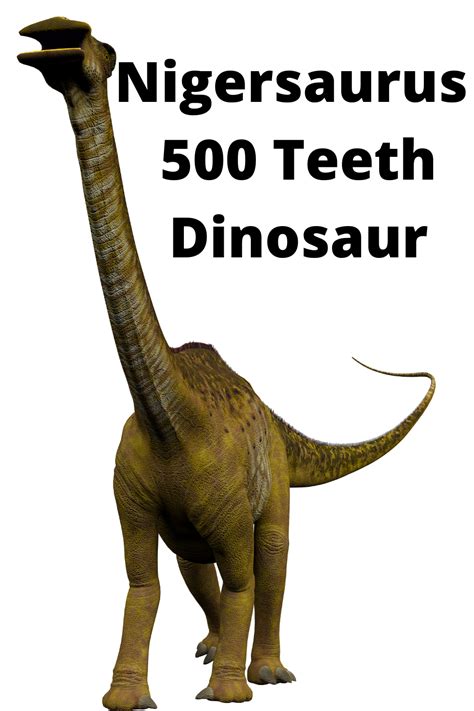 Discover the Fascinating Nigersaurus - The Dinosaur with 500 Teeth