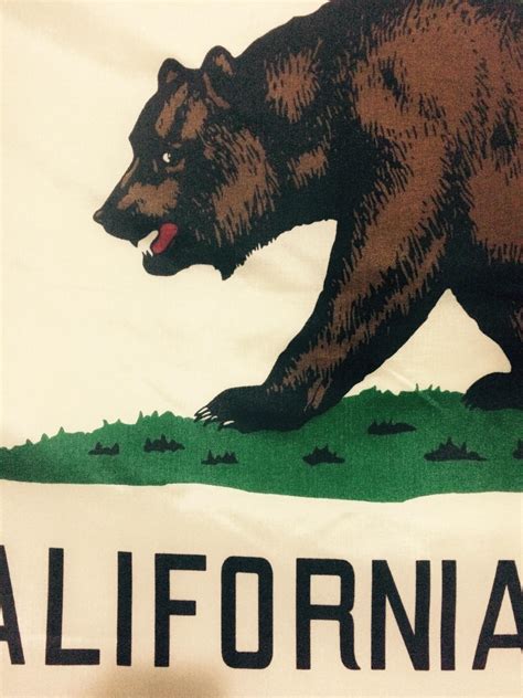 The bear on the CA state flag looks like he just told a joke and is waiting for a reaction. : r ...