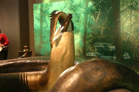 Titanoboa | Taken at the Smithsonian Natural History Museum.… | Flickr