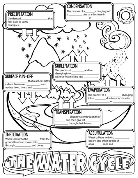 The Water Cycle Notes worksheet | Middle school science, Science ...