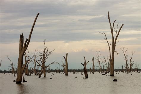 Lake Mulwala At Yarrawonga Was Created Photograph by Ashley Cooper