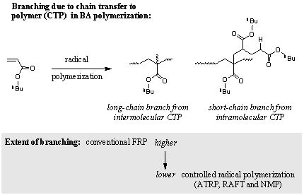 The Long and the Short of Acrylate Polymerization