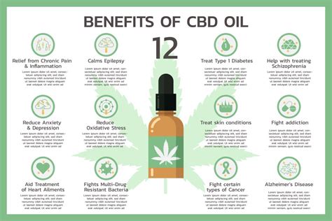 Everything You Need to Know About CBD Oils | Cannabis Clinic