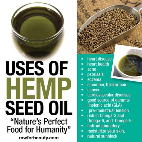 Benefits of Hemp Oil - Nutrition, Disease Prevention, and Skin Care - Third Monk