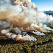 Deadly Wildfires In Australia - The Environmental