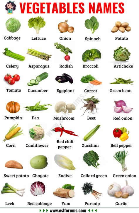 List of Vegetables: Useful Names of Vegetables with the Picture! - ESL Forums