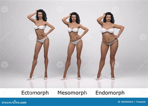 3D Render : the Portrait of Female Body Type : Ectomorph, Mesomorph ...