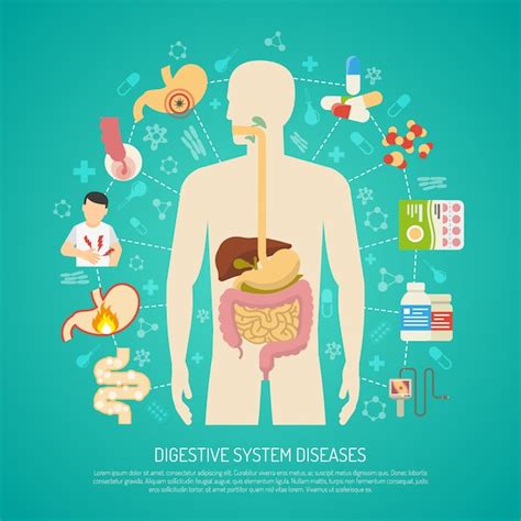 Free Vector | Digestive system diseases illustration