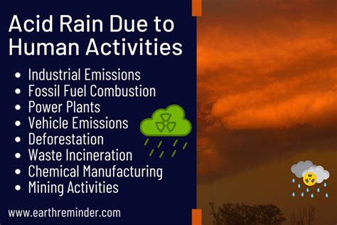 Main Causes of Acid Rain: By Natural and Human Activities