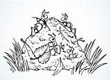 Ant Hill Clipart Black And White sketch template