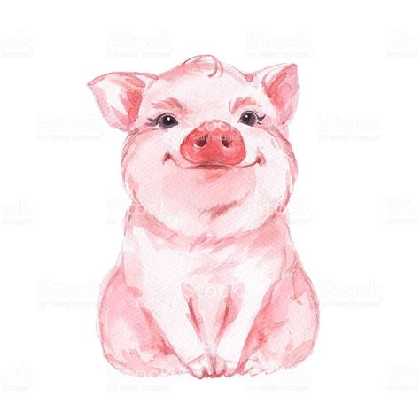 hand drawn pig | Pig illustration, Watercolor illustration, Pig art