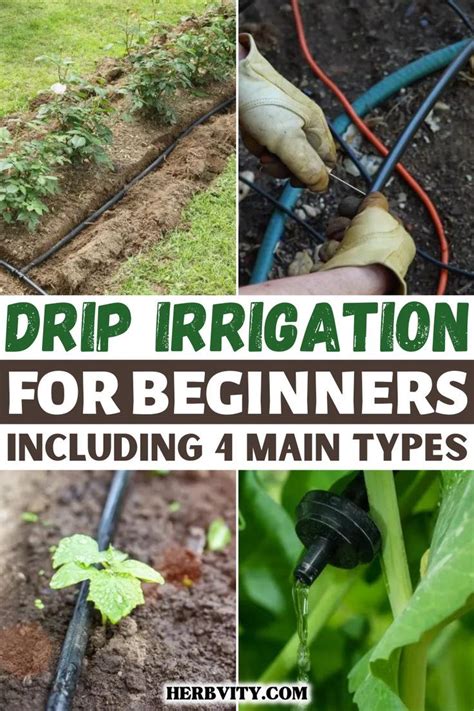 Drip Irrigation Types | For Beginners