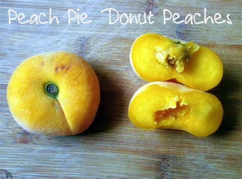 Peach Pie Donut Peaches - Eat Like No One Else