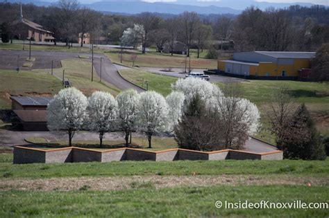 Knoxville Botanical Garden and Arboretum: A Local Jewel Keeps Getting ...