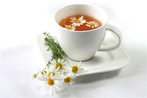 Does Chamomile Tea Make You Sleepy? - Parsa Global Import - PGI