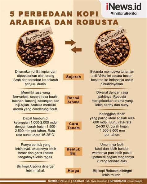 Apa Perbedaan Antara Jenis Kopi Arabika Dengan Kopi Robusta | Hot Sex Picture