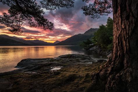 Loch Lomond from Rowardennan | Loch lomond, Loch lomond scotland, Scottish landscape