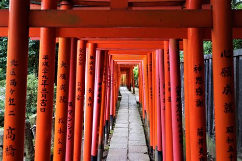 Nezu Shrine: Tokyo’s Most Underrated Shrine - Japan Web Magazine