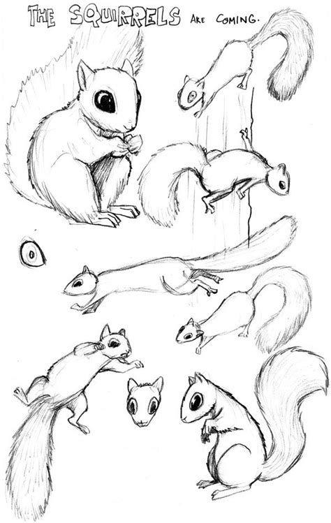 284 best images about SQUIRRELS- SKETCHES on Pinterest | Wood burning patterns, Animation ...