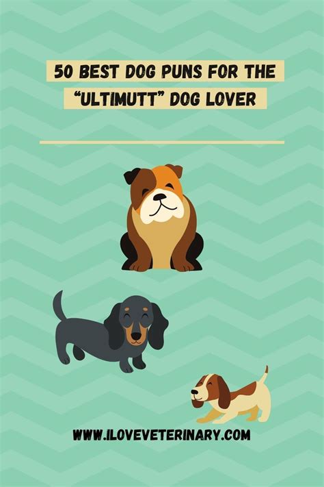 Veterinary Humor - 50 Best Dog Puns for the “Ultimutt” Dog Lover | Dog puns, Veterinary humor ...