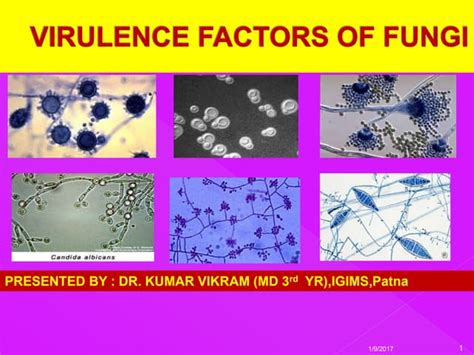 Virulence factors of fungi | PPT