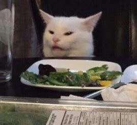 dinner cat Blank Template - Imgflip