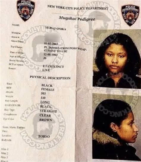 'How Is This Inspiring?': Nicki Minaj's Throwback Mugshot Post Gets ...