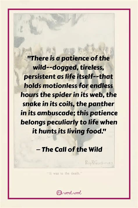 33 Top "The Call of the Wild" Quotes That Roar With Strength