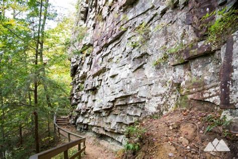 Cloudland Canyon Waterfalls Trail