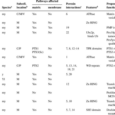 (PDF) Peroxisome Biogenesis