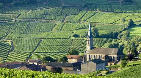 Passeio e Visita na região da Champagne » França entre Amigos