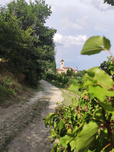 Monferrato day trip: wine and views - My traveling cam