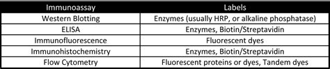 Antibody Conjugation Illustrated Assay: Novus Biologicals