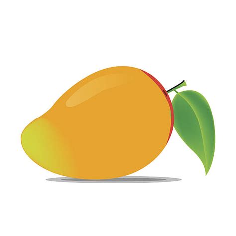 Free Mango Clipart, Download Free Mango Clipart png images, Free ClipArts on Clipart Library