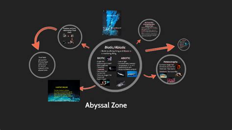 Abyssal Zone Food Web