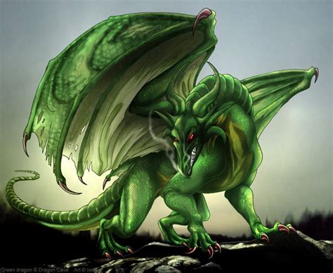 Green dragon | Dragon pictures, Dragon zoo, Fantasy dragon