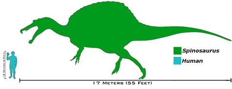 Spinosaurus, Human, Sea monsters